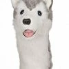Daphnes Daphne's Husky Golf Headcover 2 Daphnes Daphne's Husky Golf Headcover -Golf Accessories Sales Store 710489502239
