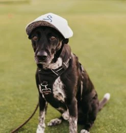 Swannies Golf Bauer Snapback Hat -Golf Accessories Sales Store swannies bauer hat cover 1 dog